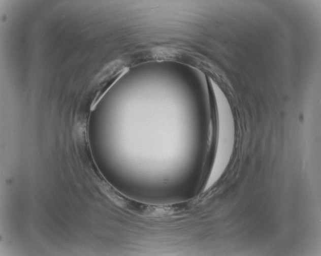 X0000081450329200701261919