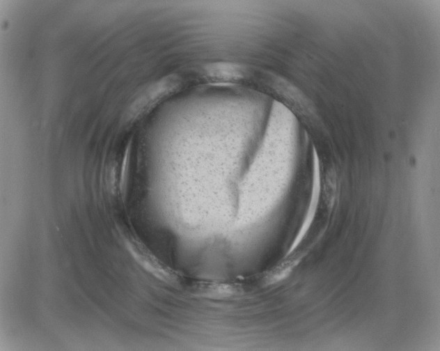 X0000081450330200701261919