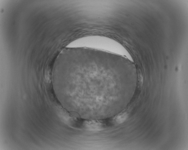 X0000081450331200701261919