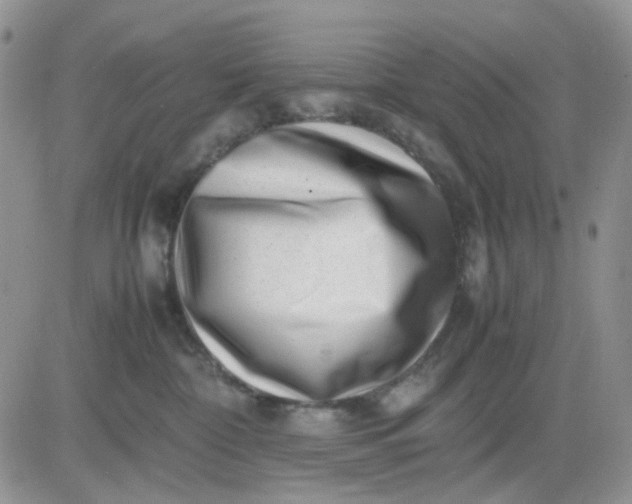 X0000081450332200701261919