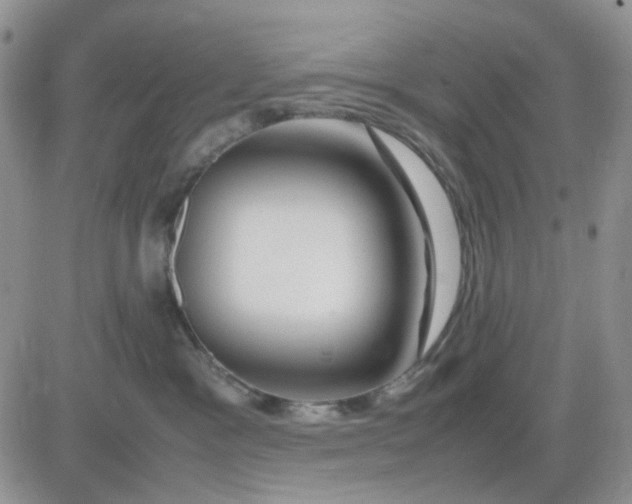 X0000081450333200701261919