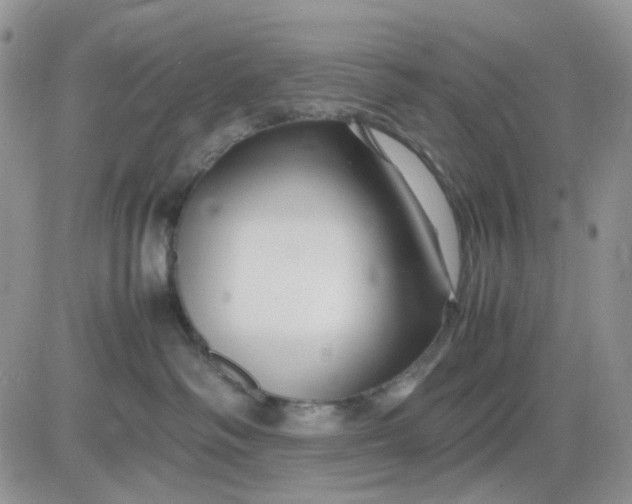 X0000081450334200701261919