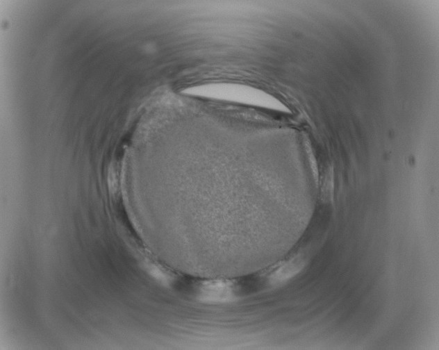 X0000081450335200701261919