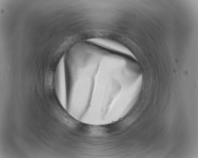 X0000081450336200701261919