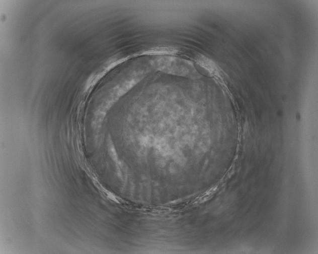 X0000081450337200701261918