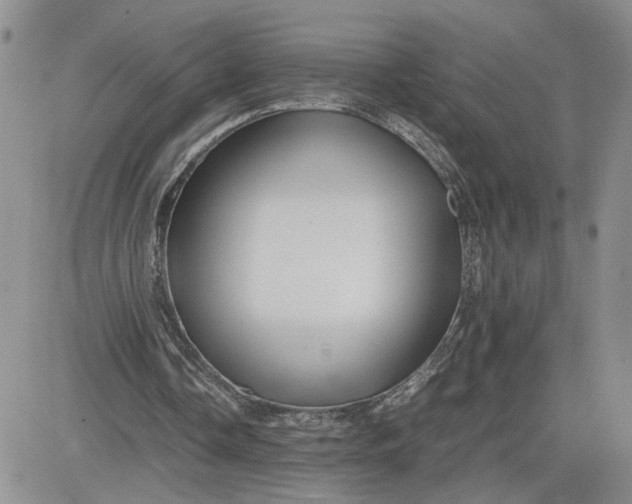 X0000081450338200701261918