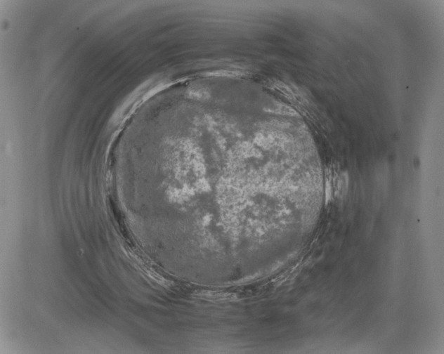 X0000081450339200701261918