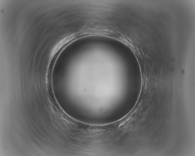 X0000081450340200701261918