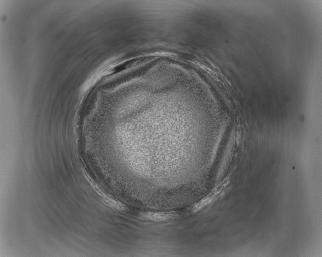 X0000081450341200701261918