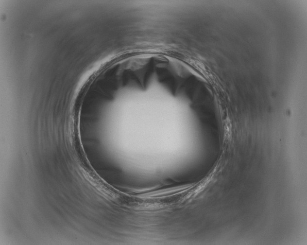 X0000081450342200701261918