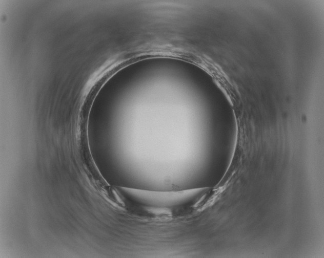 X0000081450344200701261918