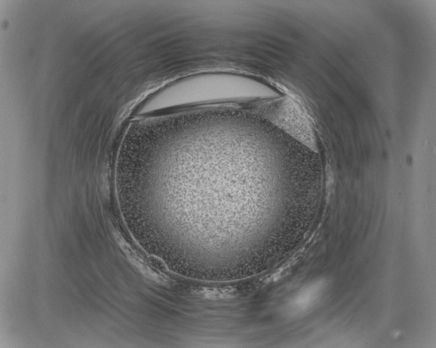 X0000081450345200701261918