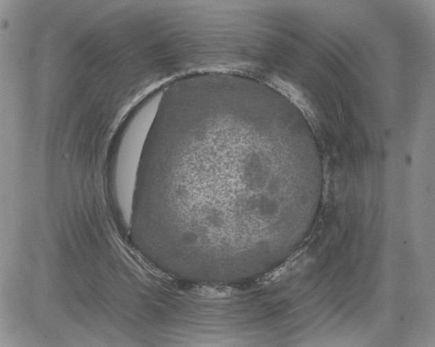 X0000081450346200701261918