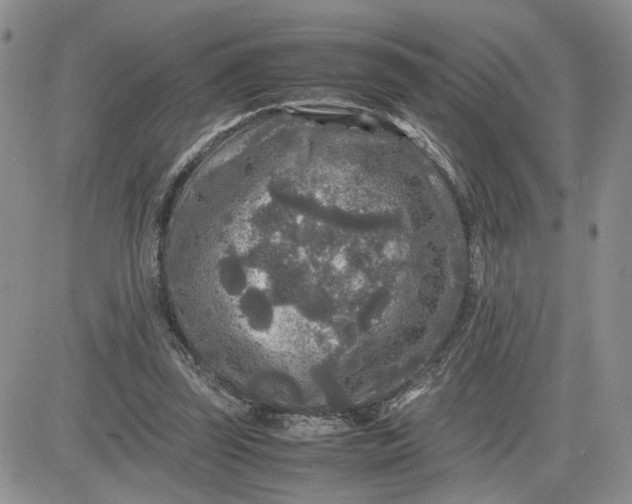 X0000081450347200701261918