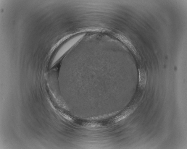 X0000081450348200701261918