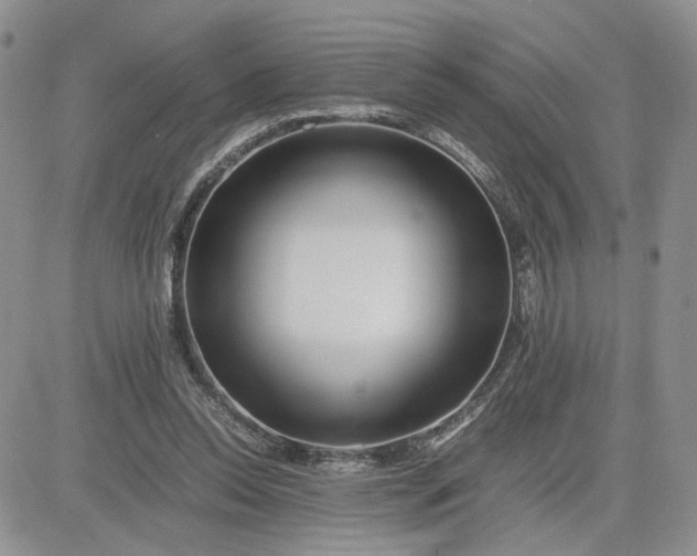 X0000081450350200701261918