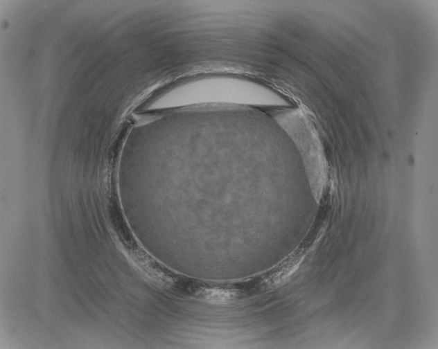 X0000081450352200701261918