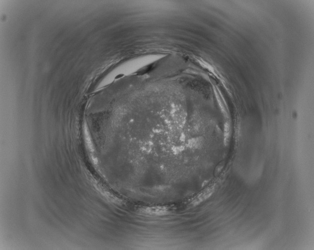 X0000081450353200701261918