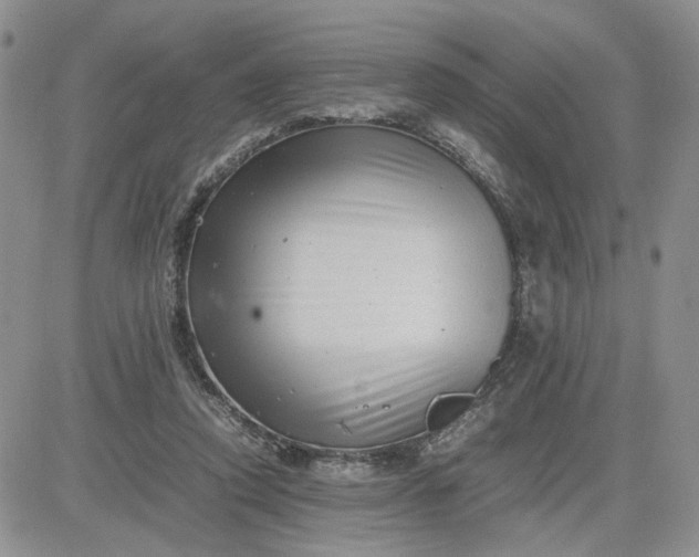 X0000081450354200701261918