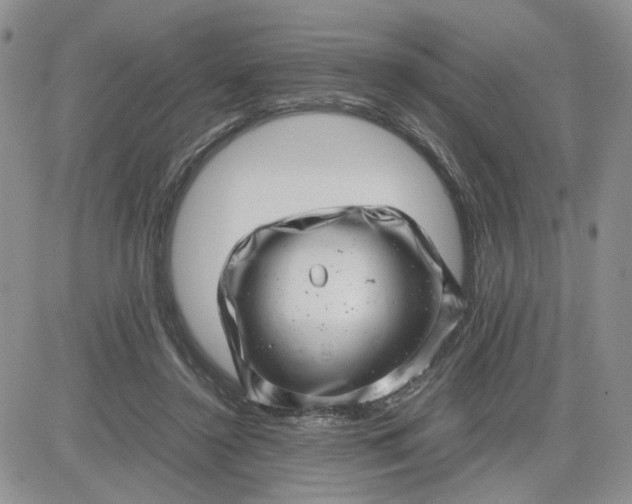 X0000081450356200701261918