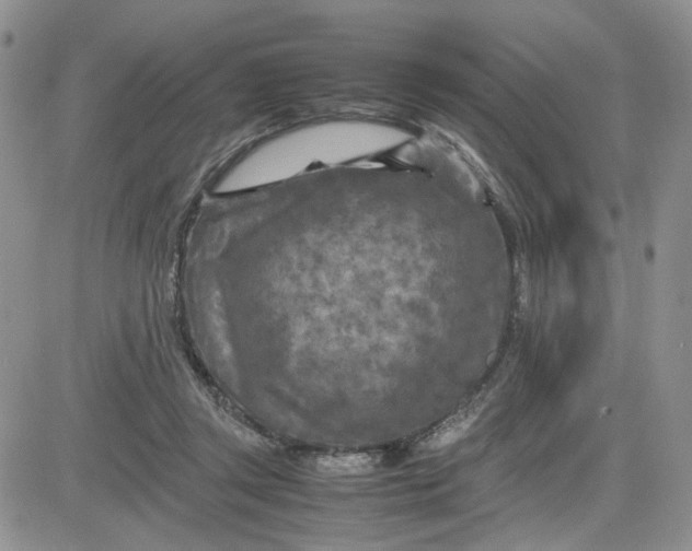 X0000081450357200701261918