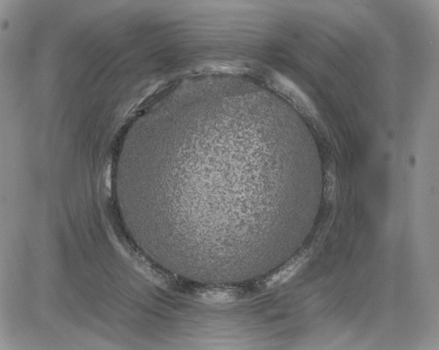 X0000081450358200701261918