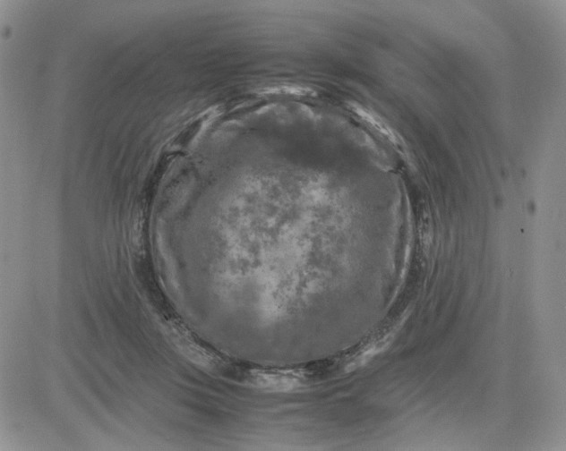 X0000081450359200701261918