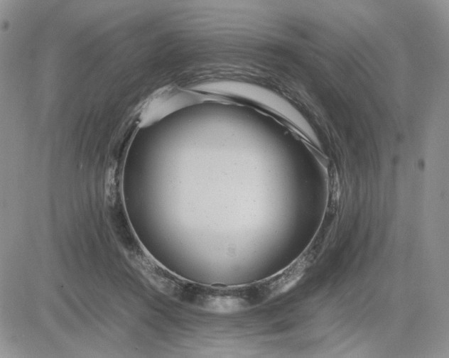 X0000081450360200701261918