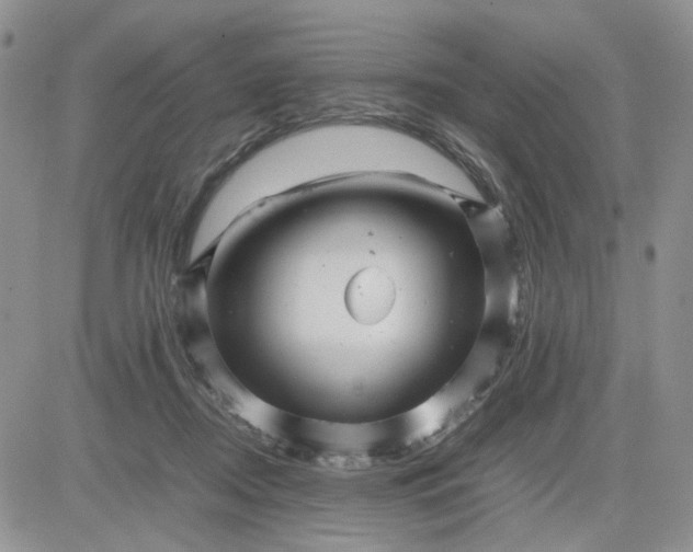 X0000081450362200701261918