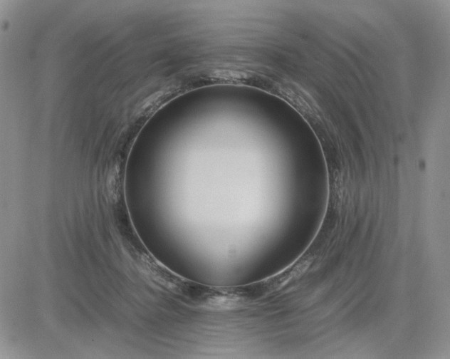 X0000081450364200701261918