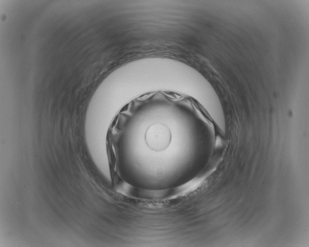 X0000081450368200701261919