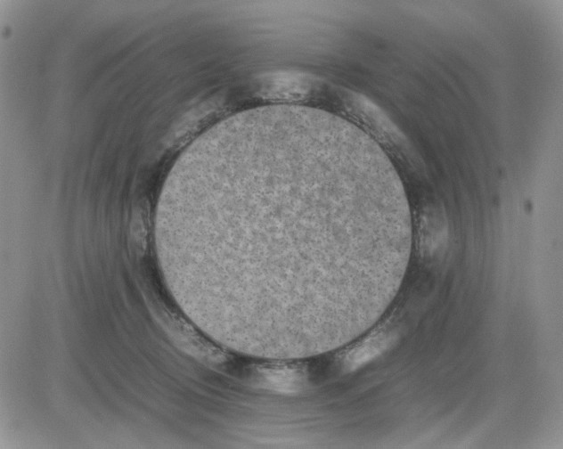 X0000081450370200701261919