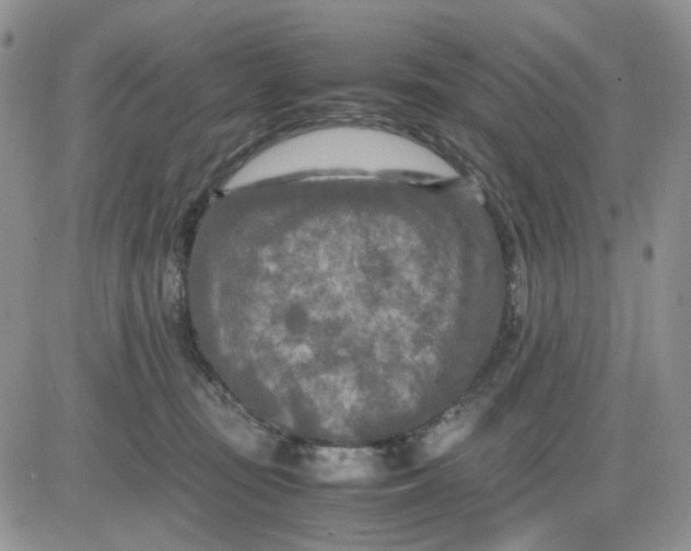 X0000081450371200701261919