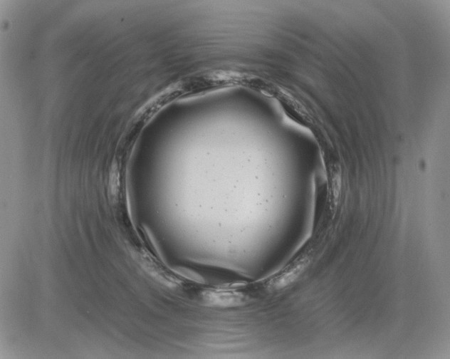 X0000081450372200701261919