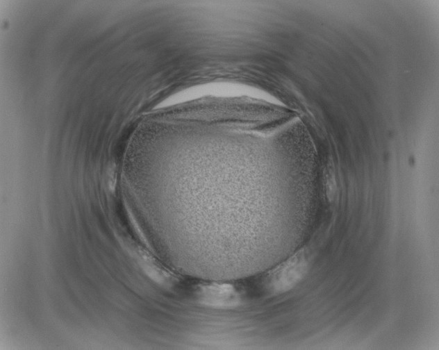 X0000081450374200701261919