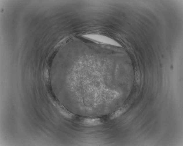 X0000081450375200701261919