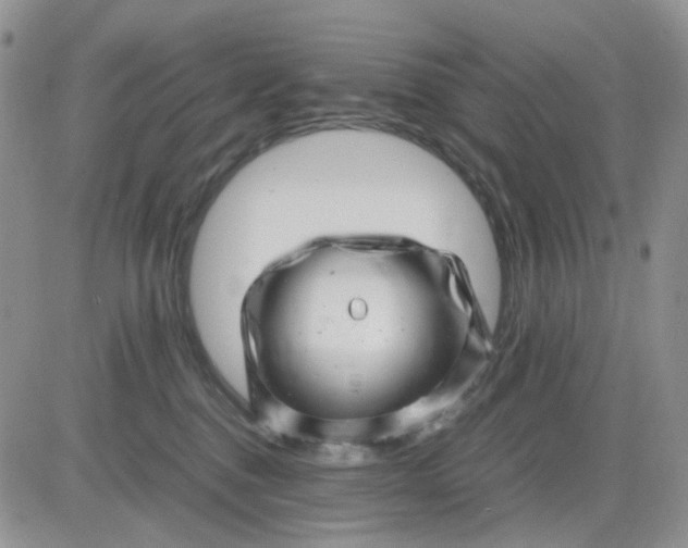 X0000081450376200701261919