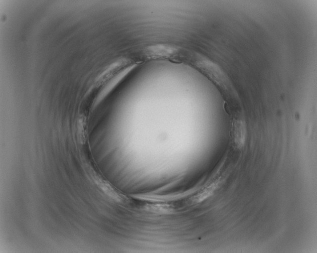 X0000081450378200701261919