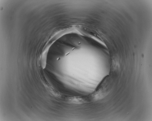 X0000081450379200701261919