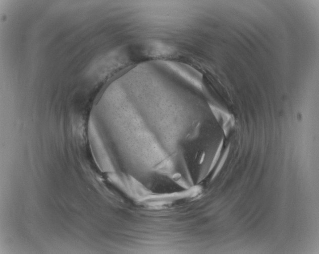 X0000081450380200701261919