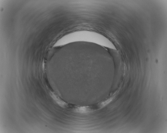 X0000081450382200701261919