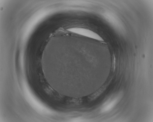 X0000081450383200701261919