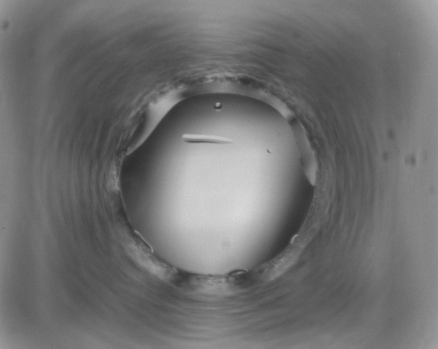 X0000081450384200701261919