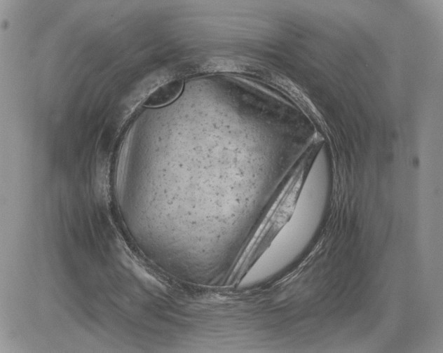 X0000081450386200701261918