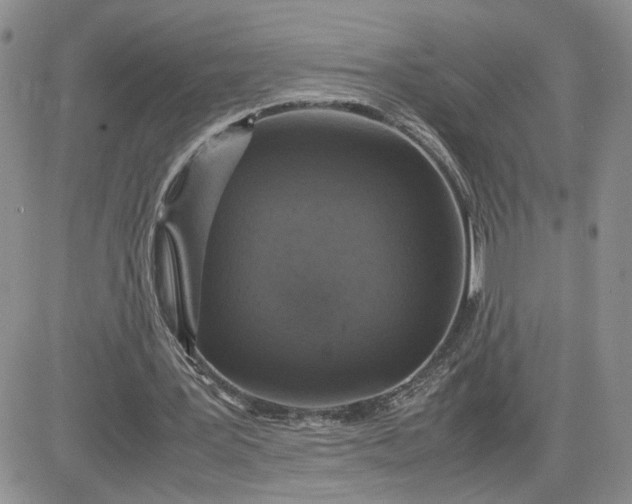 X0000081450387200701261918