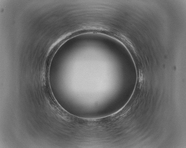 X0000081450388200701261918