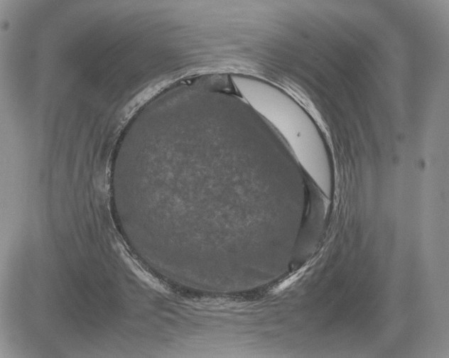 X0000081450389200701261918