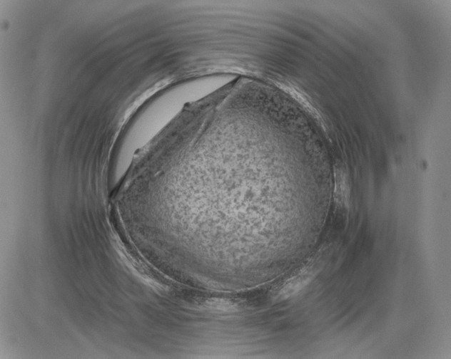 X0000081450390200701261918