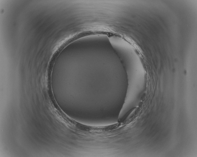 X0000081450391200701261918