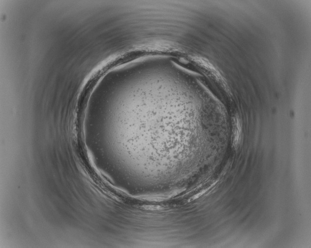 X0000081450392200701261918